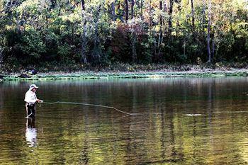The White River Inn Bull Shoals Buitenkant foto